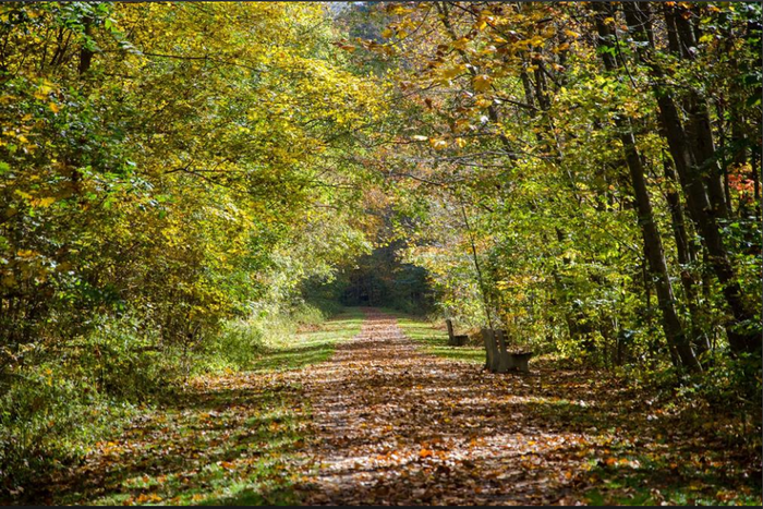 Lower Trail